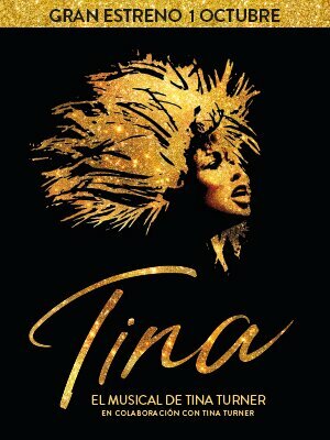 Tina_el_musical_de_Tina_Turner_Godot_cartel
